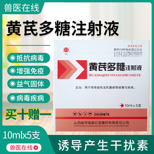 国标兽药黄芪多糖注射液抗毒增免犬瘟热猫瘟狗稀释头孢王黄氏多糖