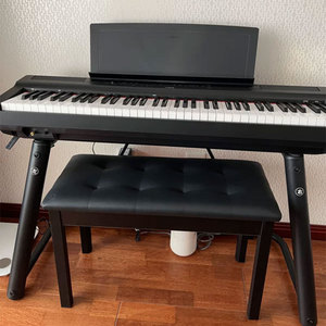 【二手电钢琴】雅马哈 P48 ES110 KDP110 原装正品 初学数码钢琴