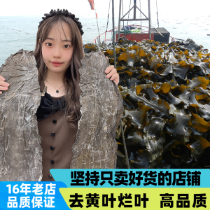 海带干货特厚片干海带片非海带丝非海带结新鲜散装霞浦裙菜汤凉拌