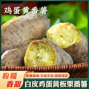 广东潮汕农家自种9斤新鲜现挖白皮黄肉板栗红薯粉糯香甜番薯地瓜