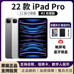 Apple/苹果 11 英寸 iPad Pro (第四代)平板电脑2021款2022款