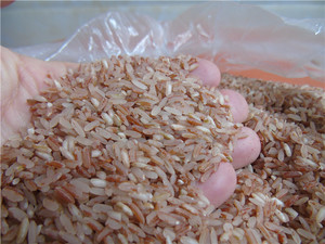 广西巴马红大米小米紫米黑米红米五谷杂粮5斤送5斤农家红米杂粮