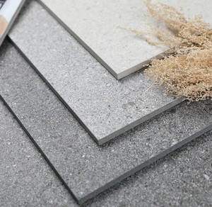 沙石面通体大颗粒地板砖花园庭院防滑粗糙面水磨石瓷砖客厅地砖