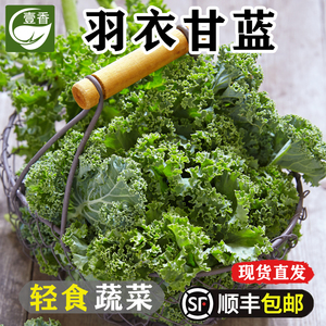 新鲜羽衣甘蓝2斤 蔬菜沙拉食材嫩叶甘兰kale西餐健身榨汁蔬菜配菜