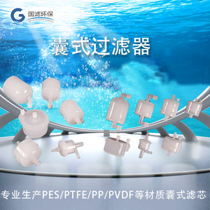 囊式过滤器  PP/PTFE/PES/PVDF工业滤芯  实验室用 超纯水 可除尘