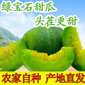 正宗山东绿宝甜瓜新鲜当季水果应季济宁喻屯绿宝石蜜瓜小香瓜10斤