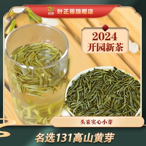 2024新茶蒙顶黄芽100克 蒙顶山头采黄芽特级黄茶