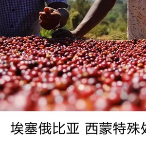 2023年埃塞俄比亚 罕贝拉 西蒙特殊处理法   精品咖啡生豆