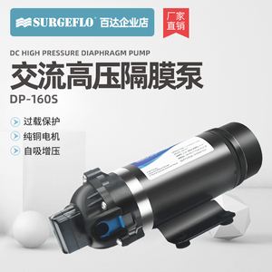 DP-160S 高压往复式隔膜水泵110V220V压路机净水器微小型可乐机泵