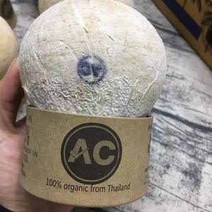亦人益果 泰国进口AC易拉罐椰皇椰子 5颗3.8KG