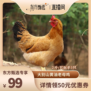 【 百食轩】 大别山黄油老母鸡2斤/3只，  2.7斤/2只  顺丰冷链