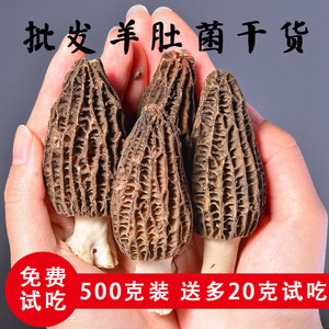 特价精品野生特级羊肚菌干货500g全剪柄农家云南特产羊肚茵干货