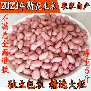 2023新鲜 农家自产 生花生米 粉红皮 精选大粒 花生米仁 零食散装