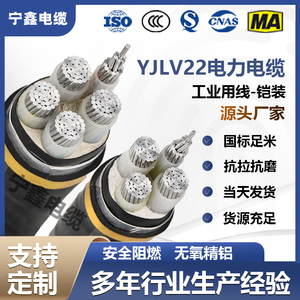 国标YJLV22铝芯铠装电力电缆线2 3 4 5芯16 25 35 50 70 95 120平