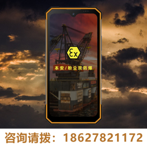 防爆手机5G全网通化工厂石油燃气本安EX防爆ioutdoor/爱户外 N630