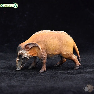 88554红河猪/非洲野猪英国CollectA仿真非洲雨林野生动物模型玩具