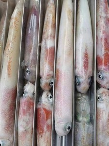 北海海捕长管大鱿鱼半斤以上一条无任何添加鲜脆好吃
