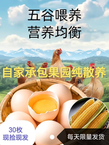 散养土鸡蛋新鲜礼盒正宗农家30枚大个鸡蛋优质柴鸡蛋五谷杂粮喂养