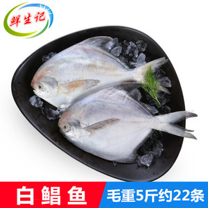 野生东海白鲳鱼 新鲜平鱼冷冻海鱼小鲳鱼海鲜水产22条 烧烤银鲳鱼