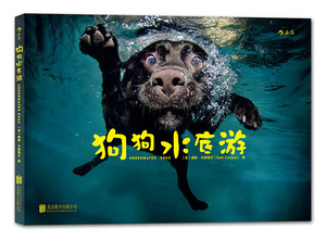 正版图书  狗狗水底游北京联合[美]赛斯·卡斯蒂尔9787550278066