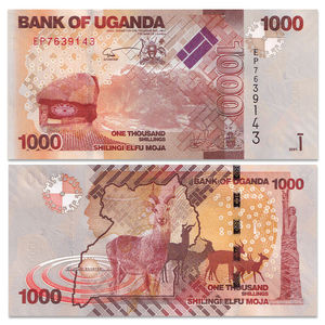 非洲-全新UNC 乌干达1000先令纸币 外国钱币 2021年 P-49