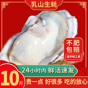 生蚝鲜活新鲜乳山牡蛎带壳海蛎子特大10斤顺丰威海海鲜现捞水产品