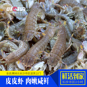 皮皮虾 海捕虾蛄 濑尿虾  鲜活到家 海鲜水产长沙马王堆直供 500g