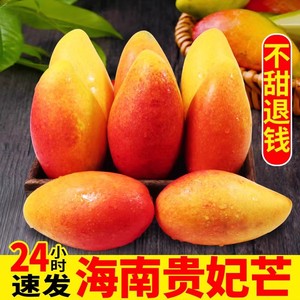 海南贵妃芒芒果10斤新鲜水果大果树上熟红金龙辣椒芒甜心当季整箱