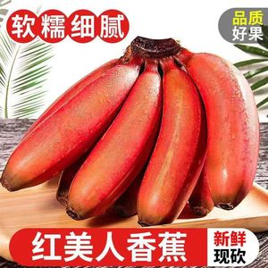 福建漳州红皮香蕉新鲜当季自然熟小红香焦红美人粉蕉芭蕉大果水果