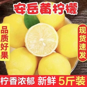 四川安岳黄柠檬新鲜水果当季精选皮薄一级香水柠萌甜柠檬5斤包邮6
