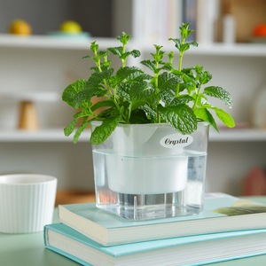 懒人花盆自动吸水园艺透明树脂厚耐用塑料家用桌面发财树绿萝花盆
