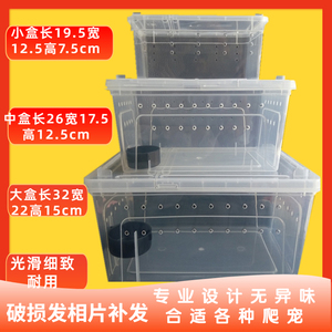 厂家直销专业蜗牛养殖盒子宠物蜘蛛活体蝎子饲养箱爬虫箱透明盒子