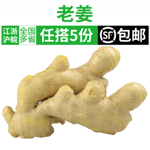 生姜500g 新鲜蔬菜大黄姜老姜干姜配料香料调味料配菜 5件包邮