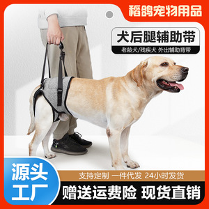 宠物后腿辅助安全带牵引后足无力肌肉萎缩高龄病犬残疾步行助力带