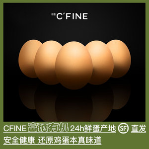 CFINE 初饭有机富硒散养土鸡蛋新鲜天然山林草鸡蛋20枚营养均衡