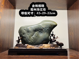 天然石头 奇石摆件 贵州乌江石 金鸡报晓 办公室玄关 居家首选