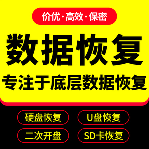 电脑机械移动硬盘固态数据恢复U盘SD卡维修视频碎片文件远程修复