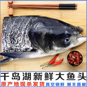 千岛湖大鱼头新鲜大鱼头胖头鱼鳙鱼花鲢大头鱼包头鱼鲜活食用水产