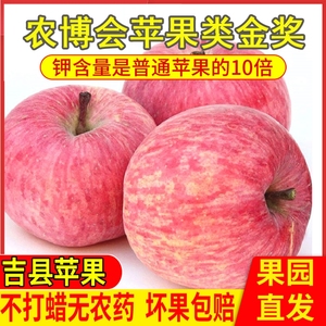 山西吉县壶口红富士平苹果新鲜水果当季整箱脆甜一级精品冰糖心