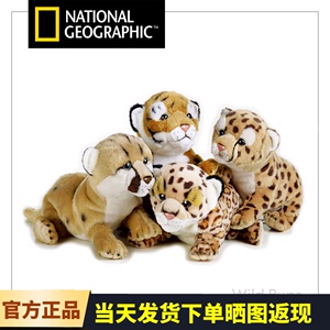 National Geographic国家地理动物玩偶老虎美洲豹猎豹宝安全玩具