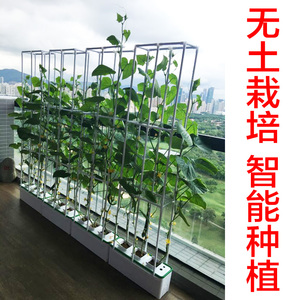 阳台室内种菜花盆机设备神器家庭菜园水培无土栽培有机蔬菜种植箱 阿里巴巴找货神器 阳台室内种菜花盆机设备神器家庭菜园水培无土栽培有机蔬菜种植箱 阿里巴巴找货神器