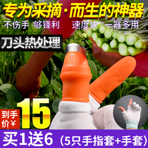 摘花椒神器专用手套采摘铁指甲套摘菜器掐菜摘豆角农用手母拇指刀