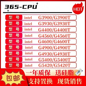 3900 3930 4400 4600 4560 5400 G4900 G5420 4930 1151针CPU