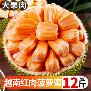 越南红肉菠萝蜜新鲜水果包邮波罗菠萝蜜一整个水果新鲜整箱当季