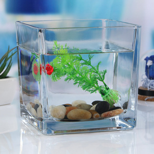 加厚生态玻璃斗鱼缸透明四方花瓶客厅水草缸孔雀鱼缸办公桌面一体