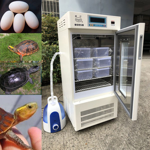 广东珠江牌 FHX-150爬行动物孵化箱 黄缘盒龟孵化箱