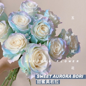 情人节厄瓜多尔玫瑰SWEET AURORA BORI甜蜜欧若拉10支花束顺丰