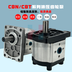 CBN齿轮泵CBN-F316 CBT液压泵F304 F306 F310 F312 F325高压油泵