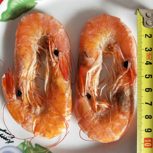 渤海湾野生凤尾虾  对虾  海捕大虾  2.5斤