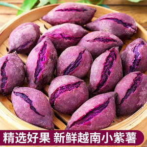 越南小紫薯新鲜5斤番薯农家自种地瓜板栗红薯代餐粗粮蜜薯山芋10